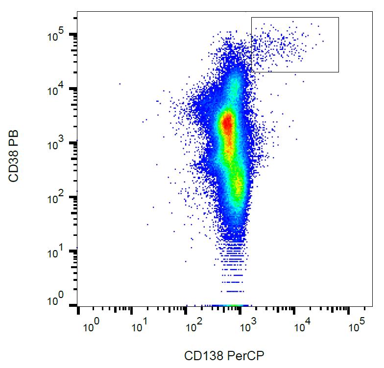 Anti-CD138 / Syndecan 1 Monoclonal Antibody (Clone:MI15)-PerCP Conjugated(Discontinued)