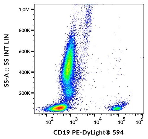 Anti-CD19 Monoclonal Antibody (Clone:LT19)-PE/DyLight Conjugated