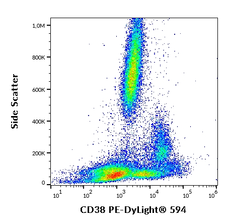 Anti-CD38 Monoclonal Antibody (Clone:HIT2)-PE/DyLight 594 Conjugated