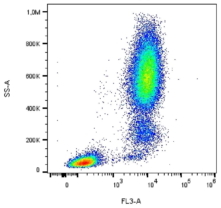 Anti-CD13 / Aminopeptidase N Monoclonal Antibody (Clone:WM15)-PE/DyLight Conjugated