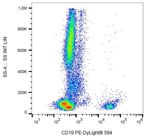 Anti-CD19 Monoclonal Antibody (Clone:4G7 )-PE/DyLight Conjugated