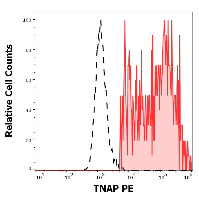 Anti-TNAP PE (Clone : W8B2B10)