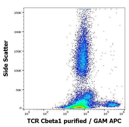 Anti-Human TCR Cbeta1 Antibody (Clone : JOVI.1)