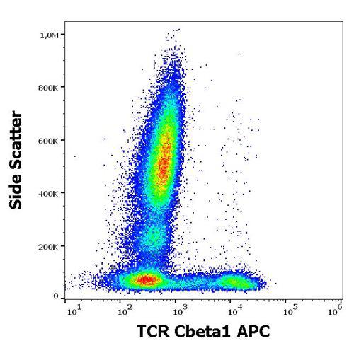 Anti-Human TCR Cbeta1 APC (Clone : JOVI.1)