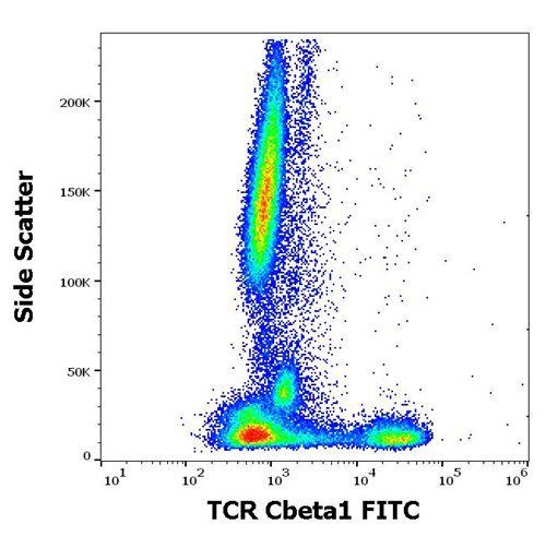 Anti-Human TCR Cbeta1 FITC (Clone : JOVI.1)