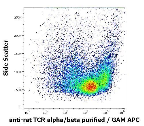 Anti-Rat TCR alpha/beta Low Endotoxin Antibody (Clone : R73)