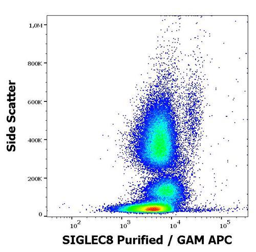 Anti-Human SIGLEC8 Antibody (Clone : 7C9)