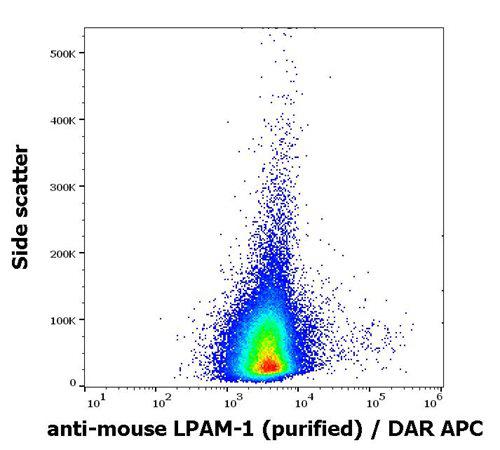 Anti-Mouse LPAM-1 Antibody (Clone : DATK32)