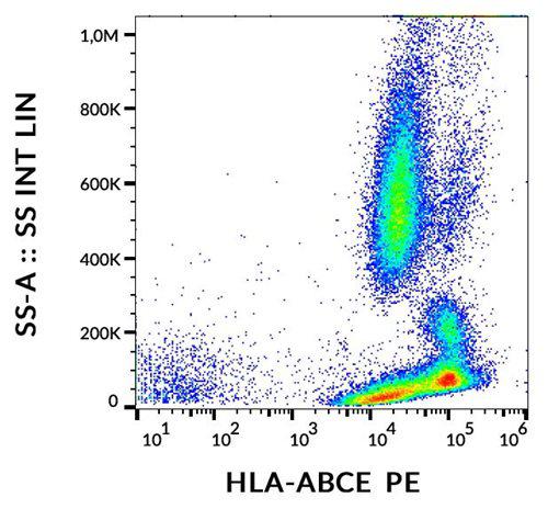 Anti-HLA-ABCE PE (Clone : TP25.99SF)