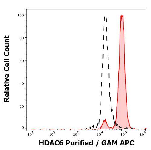 Anti-HDAC6 Antibody (Clone : 159)