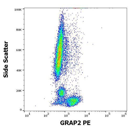 Anti-GRAP2 PE (Clone : UW40)