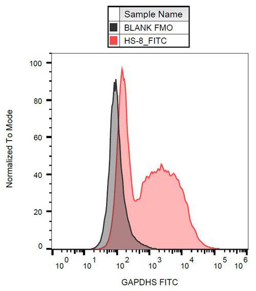 Anti-GAPDHS FITC (Clone : Hs-8)