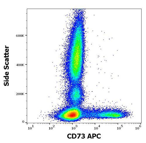 Anti-Human CD73 APC (Clone : AD2)