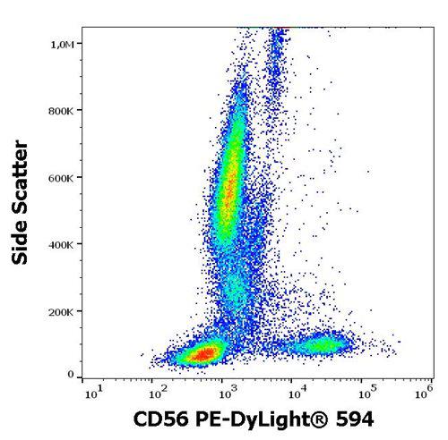 Anti-Human CD56 PE-DyLight® 594 (Clone : LT56)