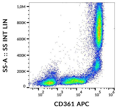 Anti-Human CD361 APC (Clone : MEM-216)