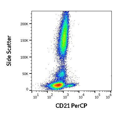 Anti-Human CD21 PerCP (Clone : LT21)