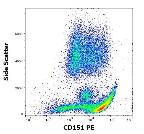 PE Conjugated Anti-Human CD151 (Clone : 50-6)