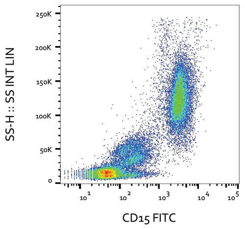 Anti-Human CD15 FITC (Clone : MMA)