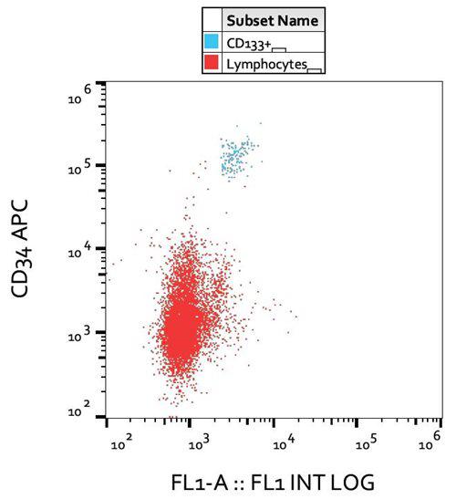 Anti-Human CD133 Antibody (Clone : W6B3C1)