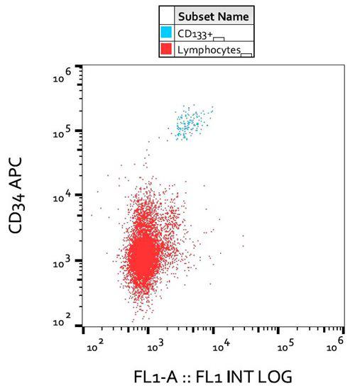 Anti-Human CD133 Antibody (Clone : 293C3)