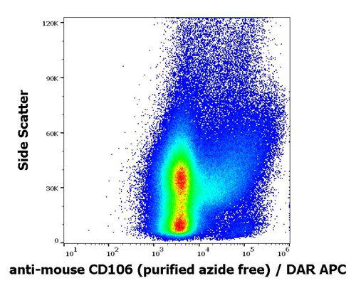 Anti-Mouse CD106 Azide Free Antibody (Clone : 429 (MVCAM.A))