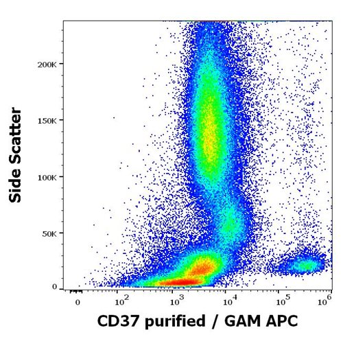 Anti-Hu CD37 Purified (Clone MB-1)