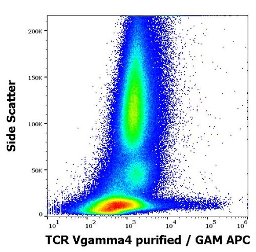 Anti-Hu TCR Vgamma4 Purified