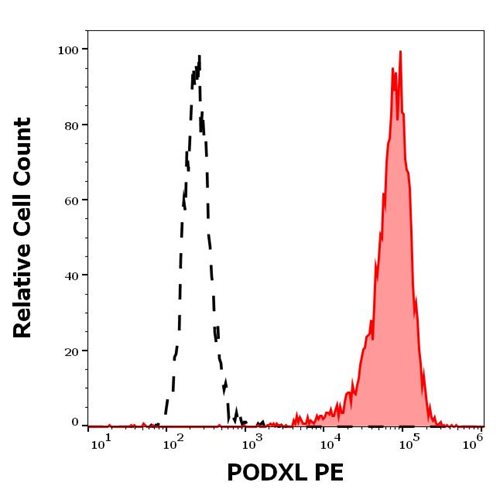 Anti-Hu PODXL Purified PE Conjugated