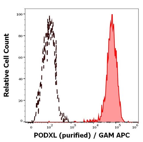 Anti-Hu PODXL Purified