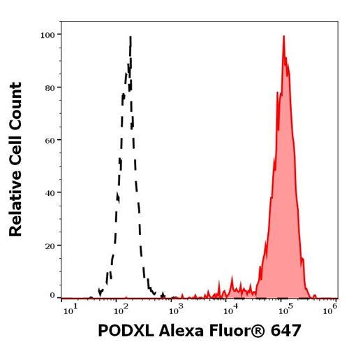 Anti-Hu PODXL Purified Anti-Hu PODXL Alexa Fluor® 647 Conjugated