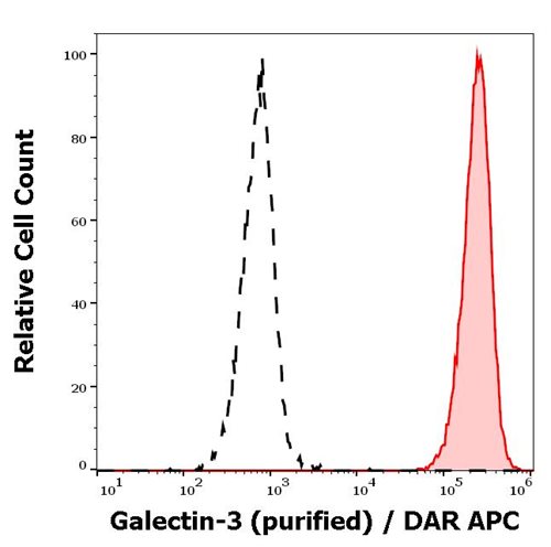 Anti-Galectin-3 Purified (Clone M3/38)