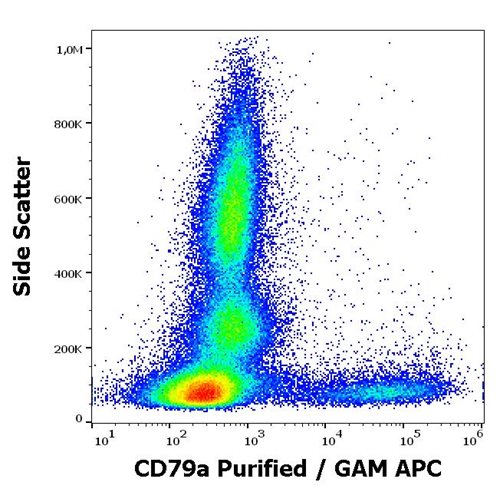 Anti-Hu CD79a (cloneZL7.4) Purified