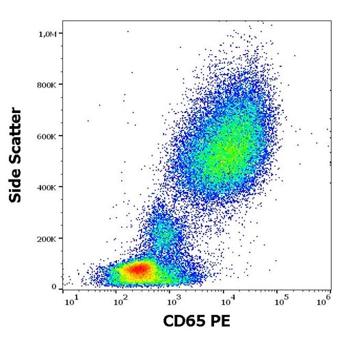 PE conjugated anti CD65 (Clone VIM8)