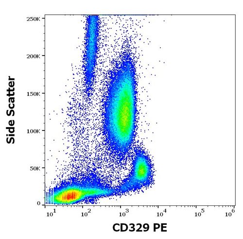 PE Conjugated Anti-Human CD329 Monoclonal Antibody (Clone: K8)