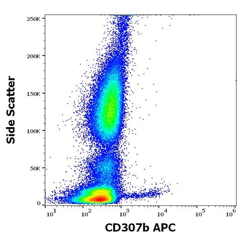 Anti-Hu CD307b APC