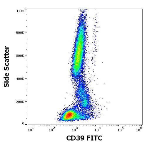 Anti-Human CD39 FITC MAb (Clone: TU66)