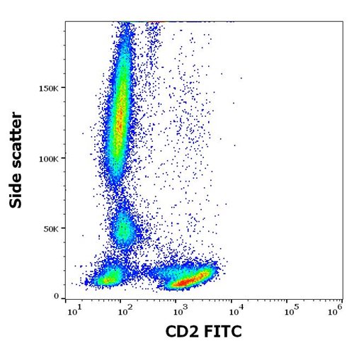 Anti-Human CD2 FITC MAb (Clone: TS1/8)