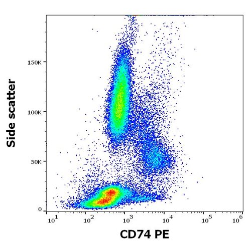 Anti-Human CD74 PE MAb (Clone: LN2)