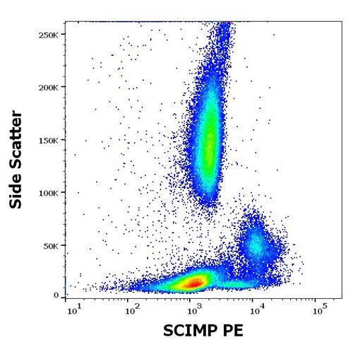 Anti-SCIMP PE MAb (Clone: NVL-07)