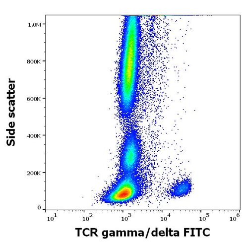 Anti-Human TCR gamma/delta (Clone: 11F2) FITC Conjugated