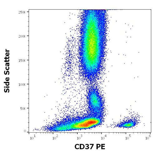 PE Conjugated Anti-Human CD37 MAb (Clone: MB-1)