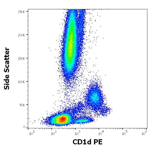 Anti-Human CD1d PE MAb (Clone: 51.1)