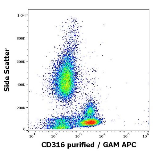 Anti-Human CD316 MAb (Clone :8A12)