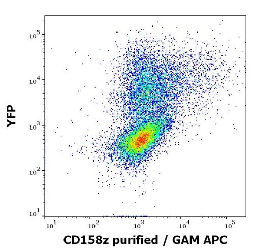 Anti-Human CD158z MAb(Clone :CH21)