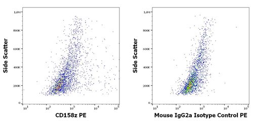 Anti-Human CD158z PE MAb(Clone :CH21)