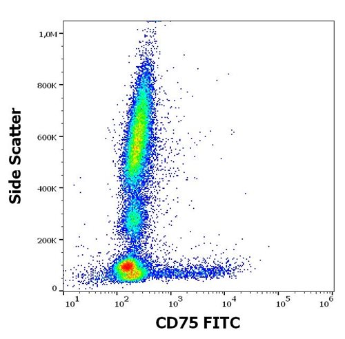 Anti-Human CD75 FITC Mab (Clone: LN1)