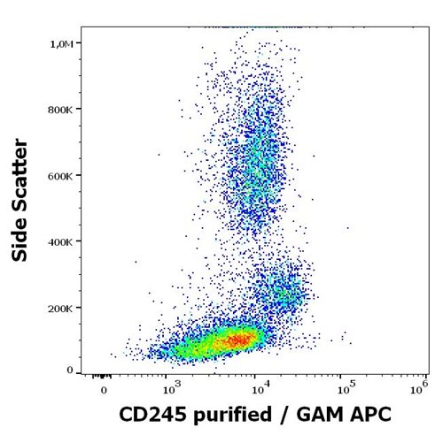 Anti-Human CD245 Mab (Clone:DY12)