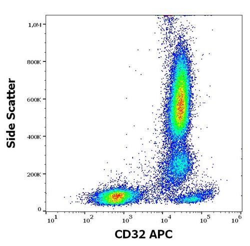 Anti-Hu CD32 APC Mab (Clone : 3D3)