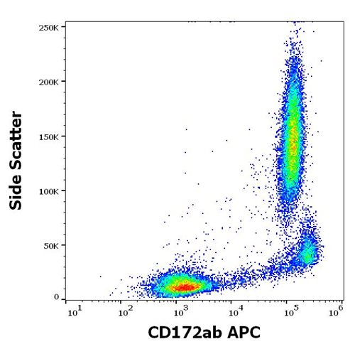 Anti-Hu CD172ab APC Mab(SE5A5)