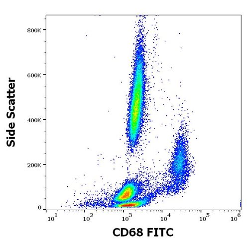 Anti-Hu CD68 FITC Mab(Y1/82A)